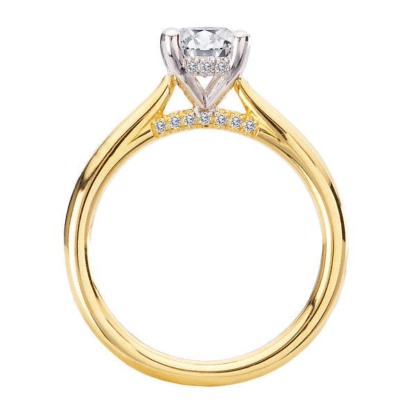 Hidden Halo Semi-Mount Diamond Engagement Ring
